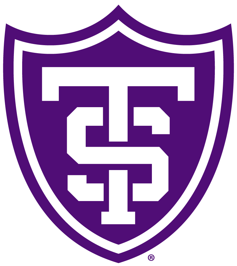 St. Thomas Tommies iron ons